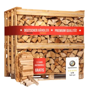 1 RM lenha de faia PREMIUM | 25 cm | seca em câmara | em palete | 500 kg | lenha para lareira | 1,6 SRM
